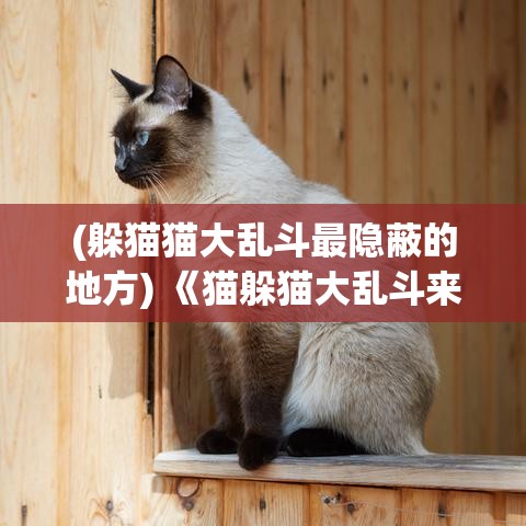 (躲猫猫大乱斗最隐蔽的地方) 《猫躲猫大乱斗来袭！揭秘隐藏技巧：如何成为躲藏高手》 | ~~探索猫猫们的神秘世界~~